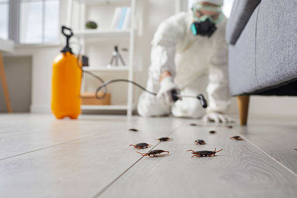 Commercial Rodent Management in Wauchula